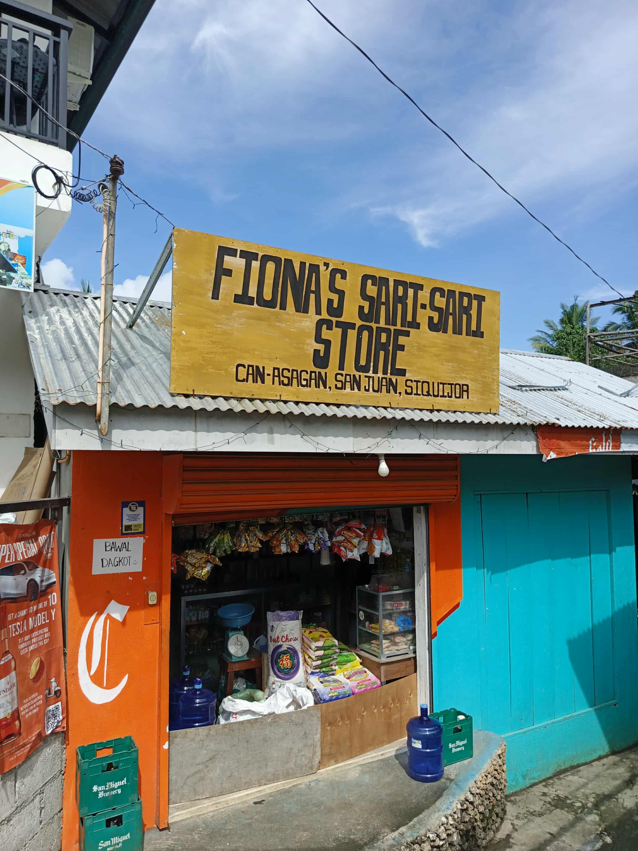 Fiona's Sari-Sari Store Logo